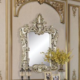 Acme Furniture Sorina Antique Gold Transitional Mirror