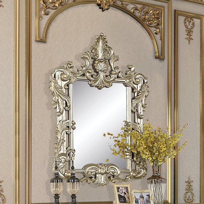 Acme Furniture Sorina Antique Gold Transitional Mirror ACM-LV01215